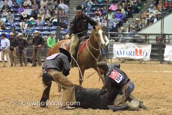 Ranch Rodeo Finals, WRCA, 11-08-14 - Photo 36
