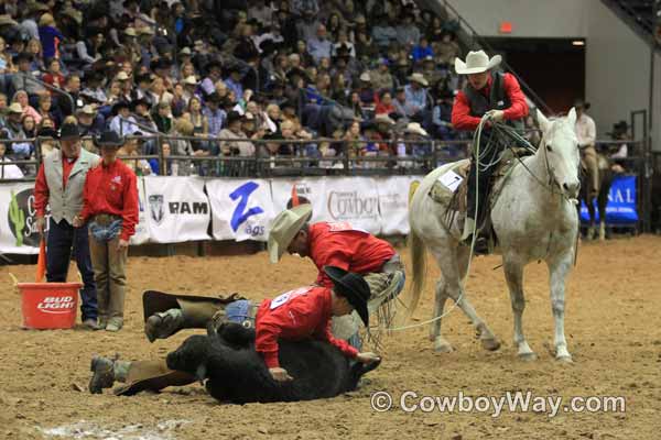 Ranch Rodeo Finals, WRCA, 11-08-14 - Photo 42