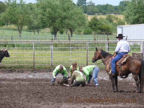 Women's Ranch Rodeo Association (WRRA), 06-28-08 - Photo 81