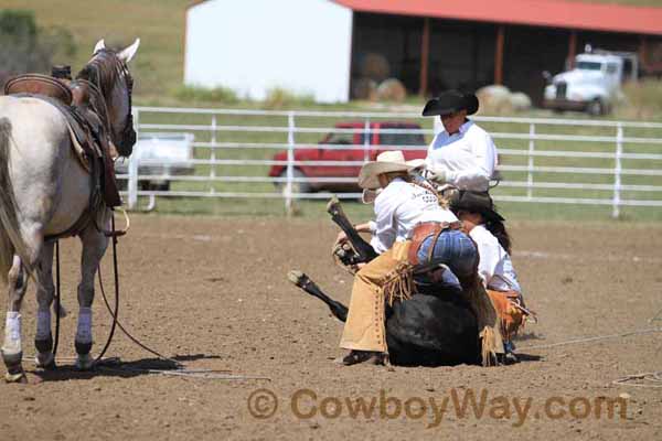 Women's Ranch Rodeo Association (WRRA), 09-14-14 - Photo 84