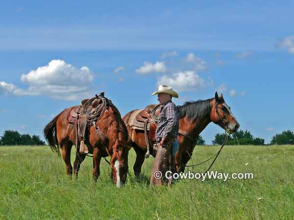 A cowboy and two horses waiting in a pasture