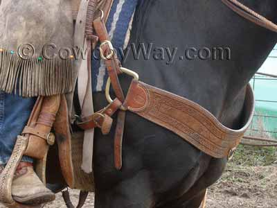 A Western breast collar on a ranch horse