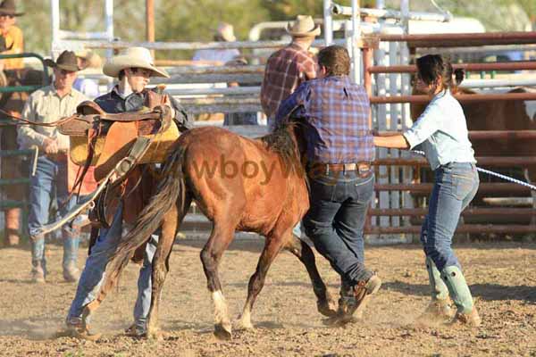 Junior ranch rodeo: The wild pony race