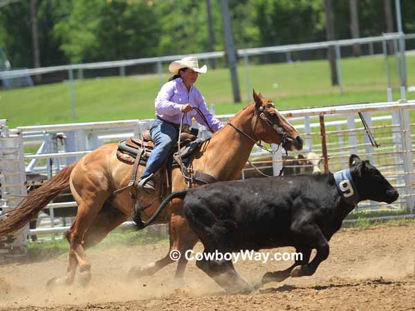 Sorting a calf at a women's ranch rodeo