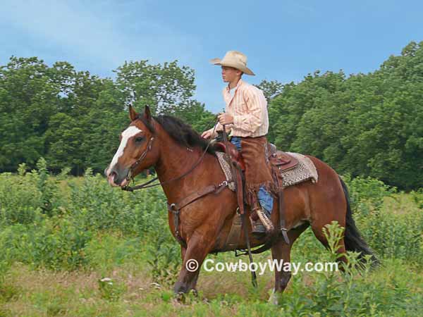 A young cowboy on a bay horse lopes through pasture grass