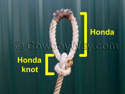 Honda knot