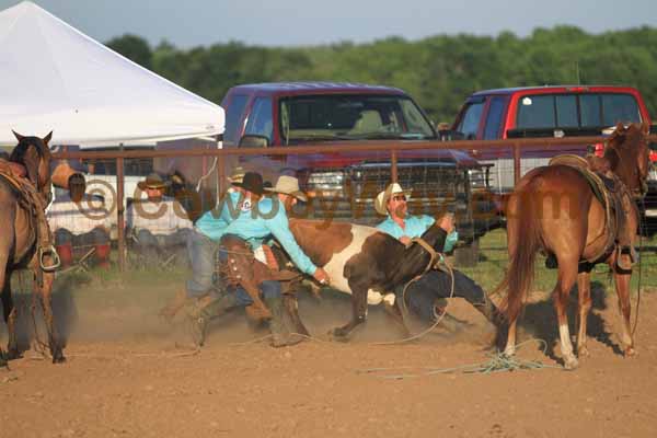 A random photo of the day featuring cowgirls or cowboys