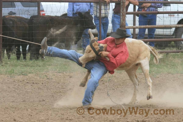 Current cowboy photo of the day