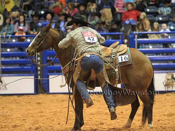 Current cowboy photo of the day
