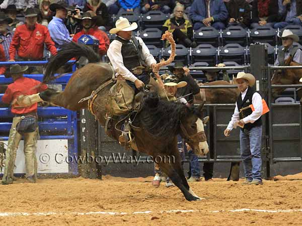 A random photo of the day featuring cowgirls or cowboys