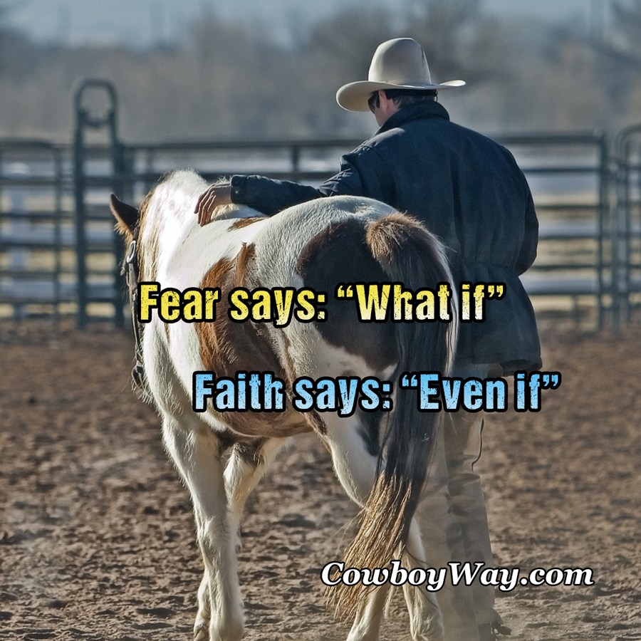 Current cowboy photo of the day