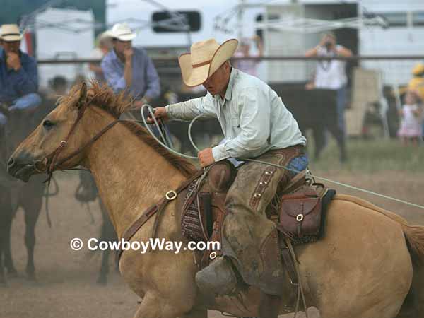 Current cowboy photo of the day