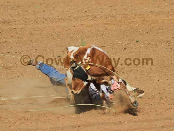 A random photo of the day featuring cowgirls or cowboys