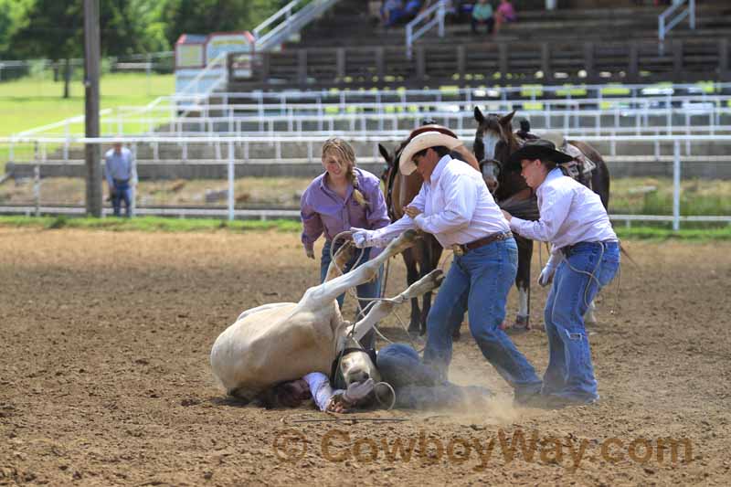 A random photo of the day featuring cowgirls or cowboys