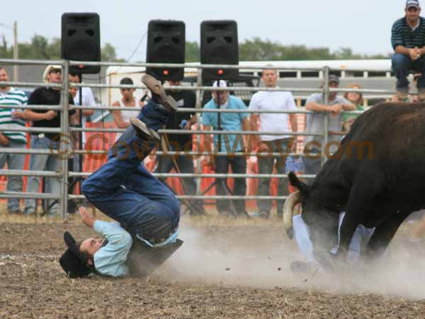 Current cowboy photo of the day
