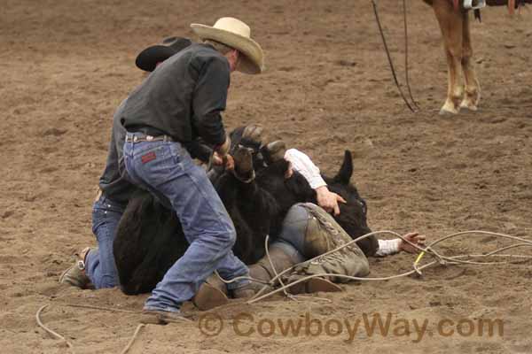 Current cowboy photo of the day