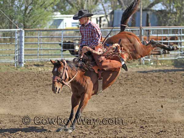 A 3rd daily photo with cowboys or cowgirls