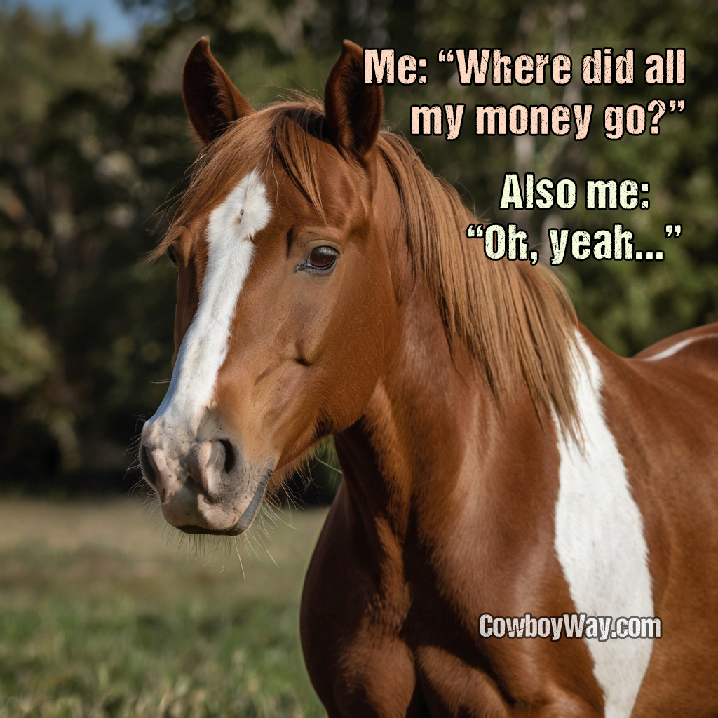 Current cowboy photo of the day