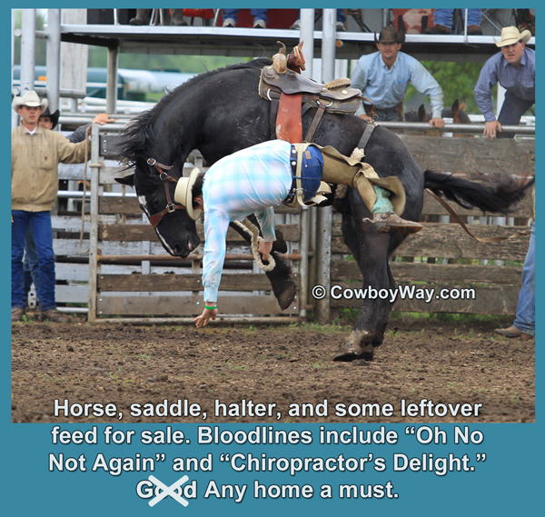 A random photo of the day featuring cowgirls or cowboys