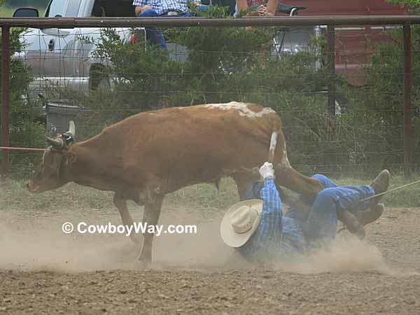 A random photo of the day featuring cowgirls or cowboys