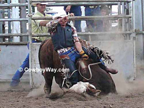 A random photo of the day featuring cowgirls or cowboys
